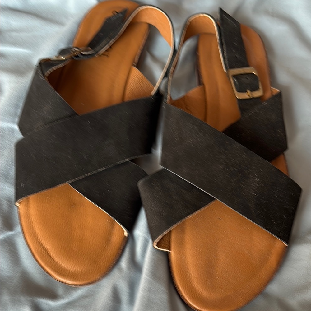 Root Collective Sandals